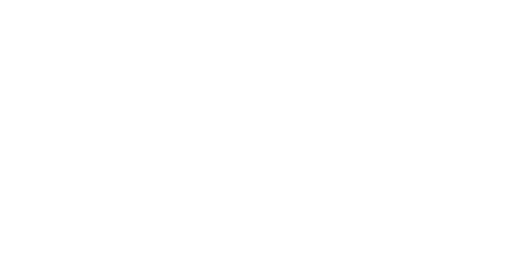 nic eic approved